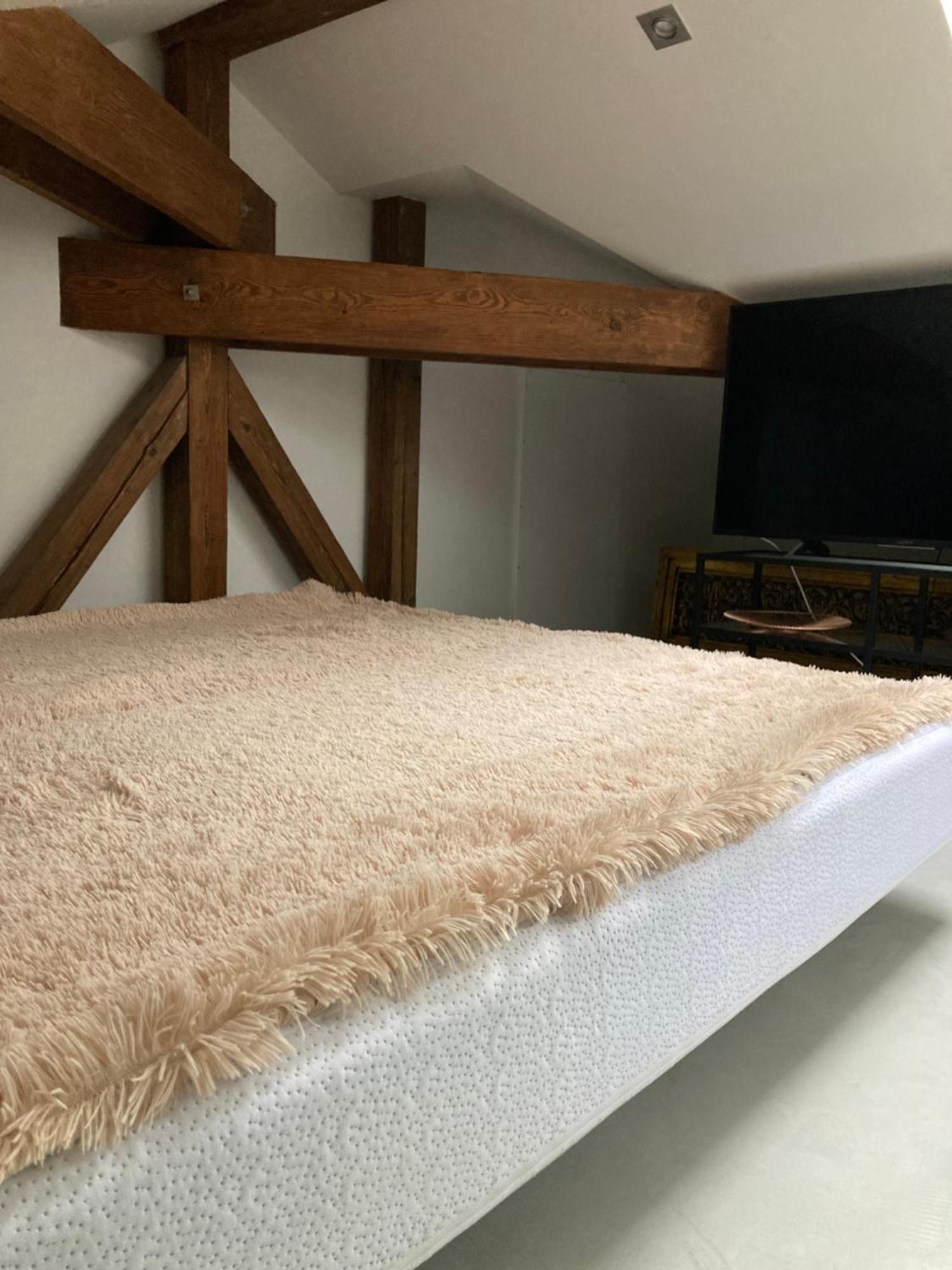 Villa Bricola - Boutique Apartments 카를로비바리 외부 사진